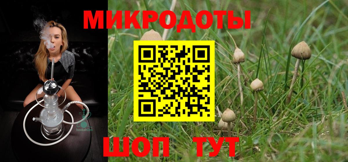 Псилоцибиновые грибы мухоморы  Вход с VPN  где купить наркоту  Псилоцибиновые грибы ЛСД  Бор 