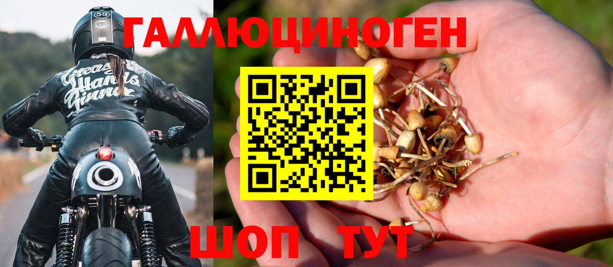 Галлюциногенные грибы Cubensis Бор